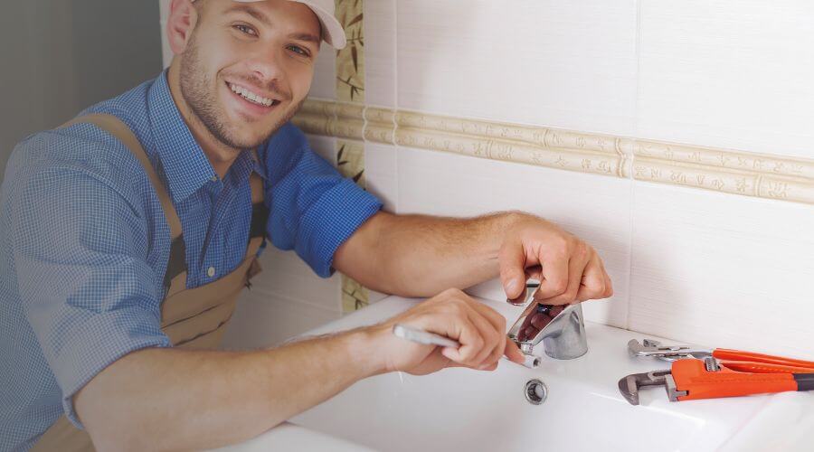 Professional Leak Detection Services services in Saint Elmo, IL